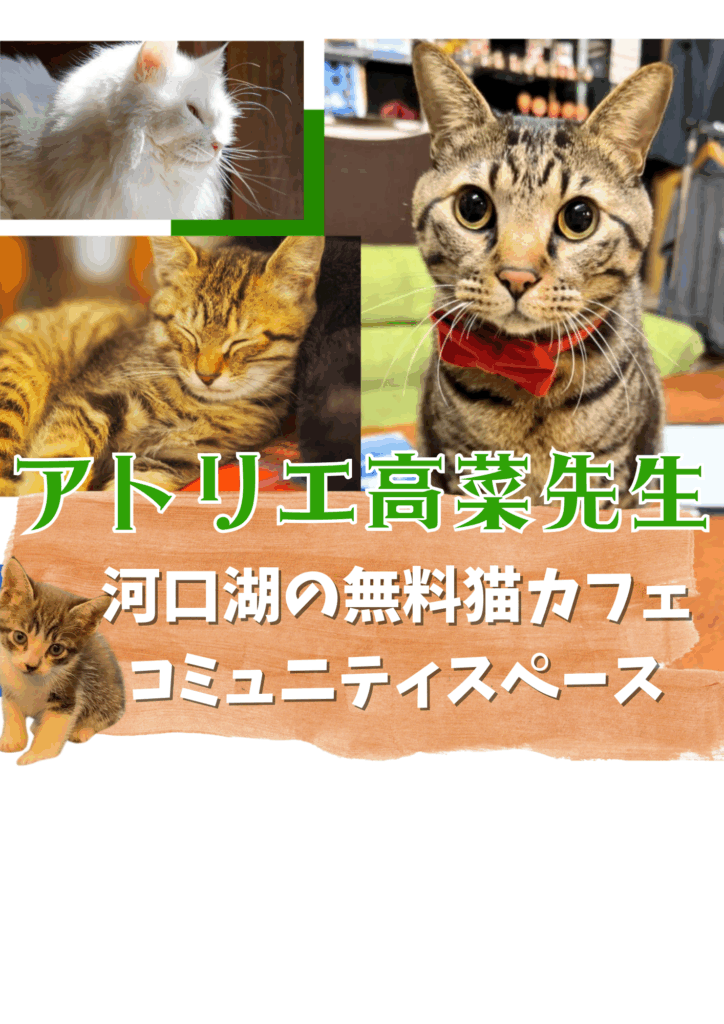 山梨保護猫カフェ